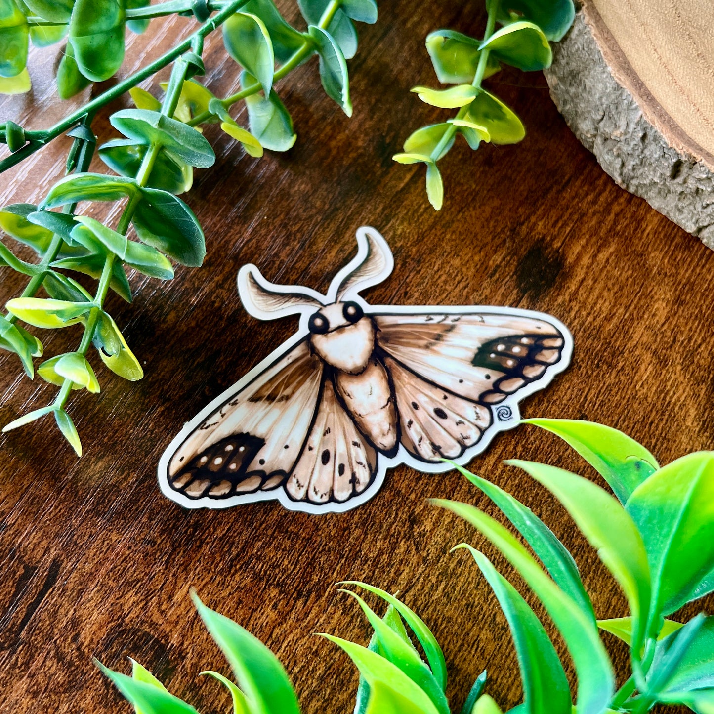 Brown Moth Clear Sticker