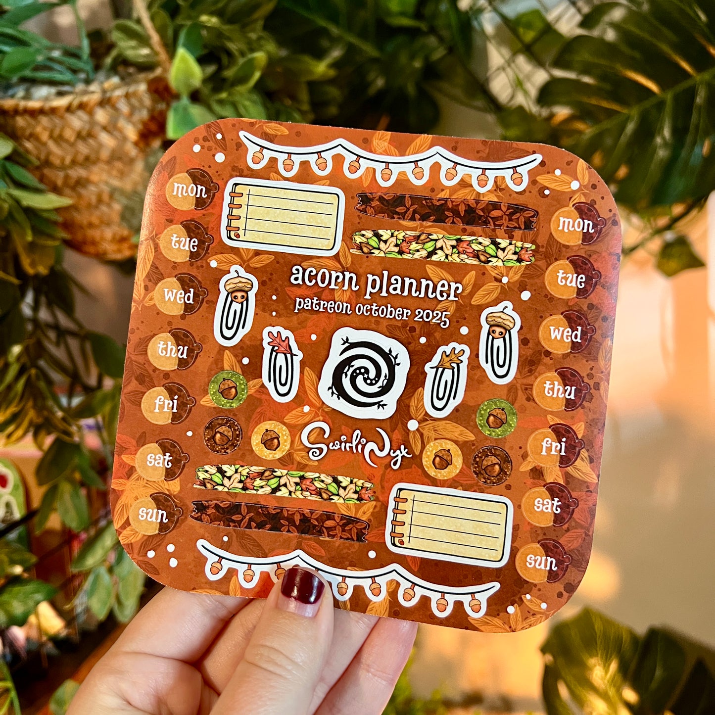 October Patreon Rewards - Oakley the Acorn