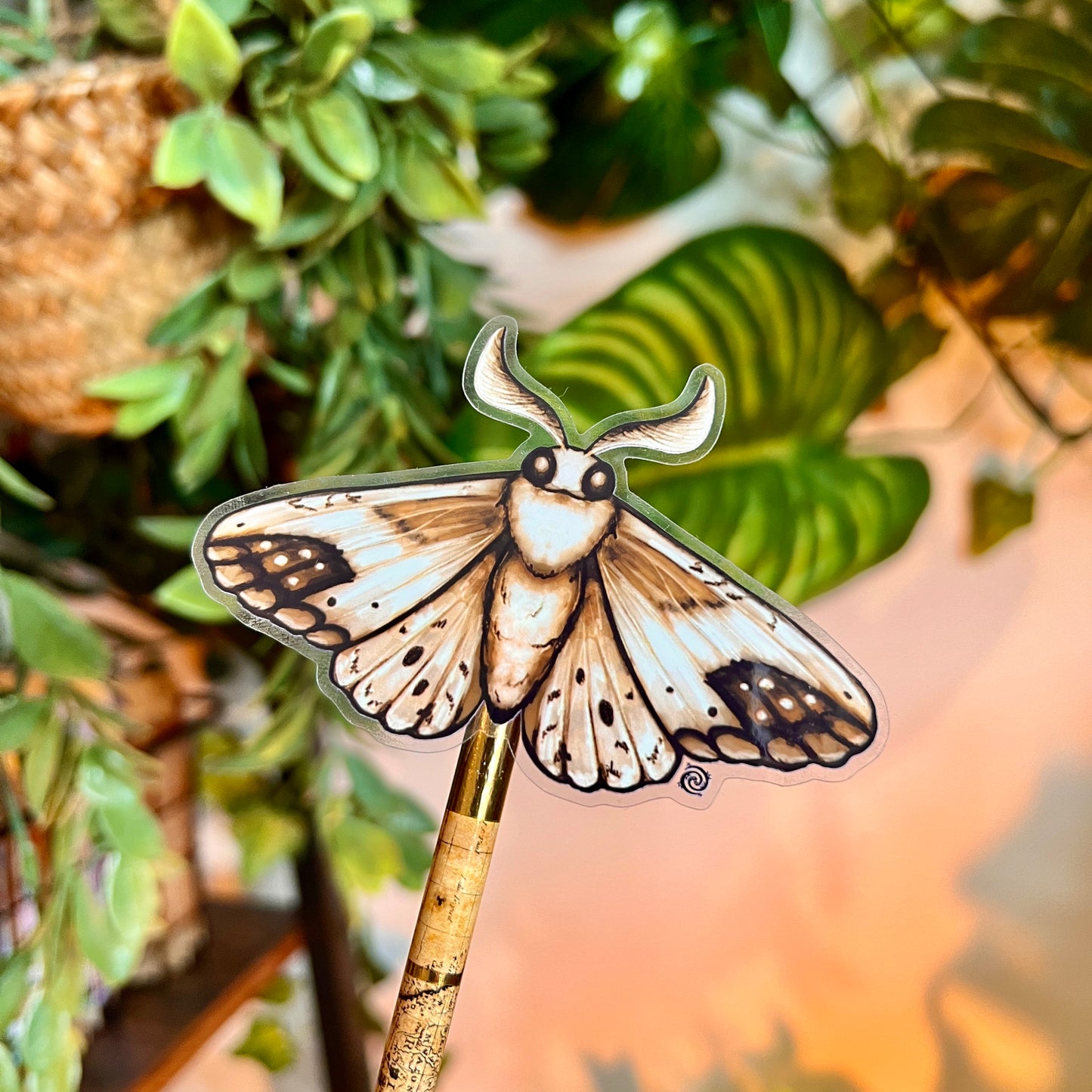 Brown Moth Clear Sticker