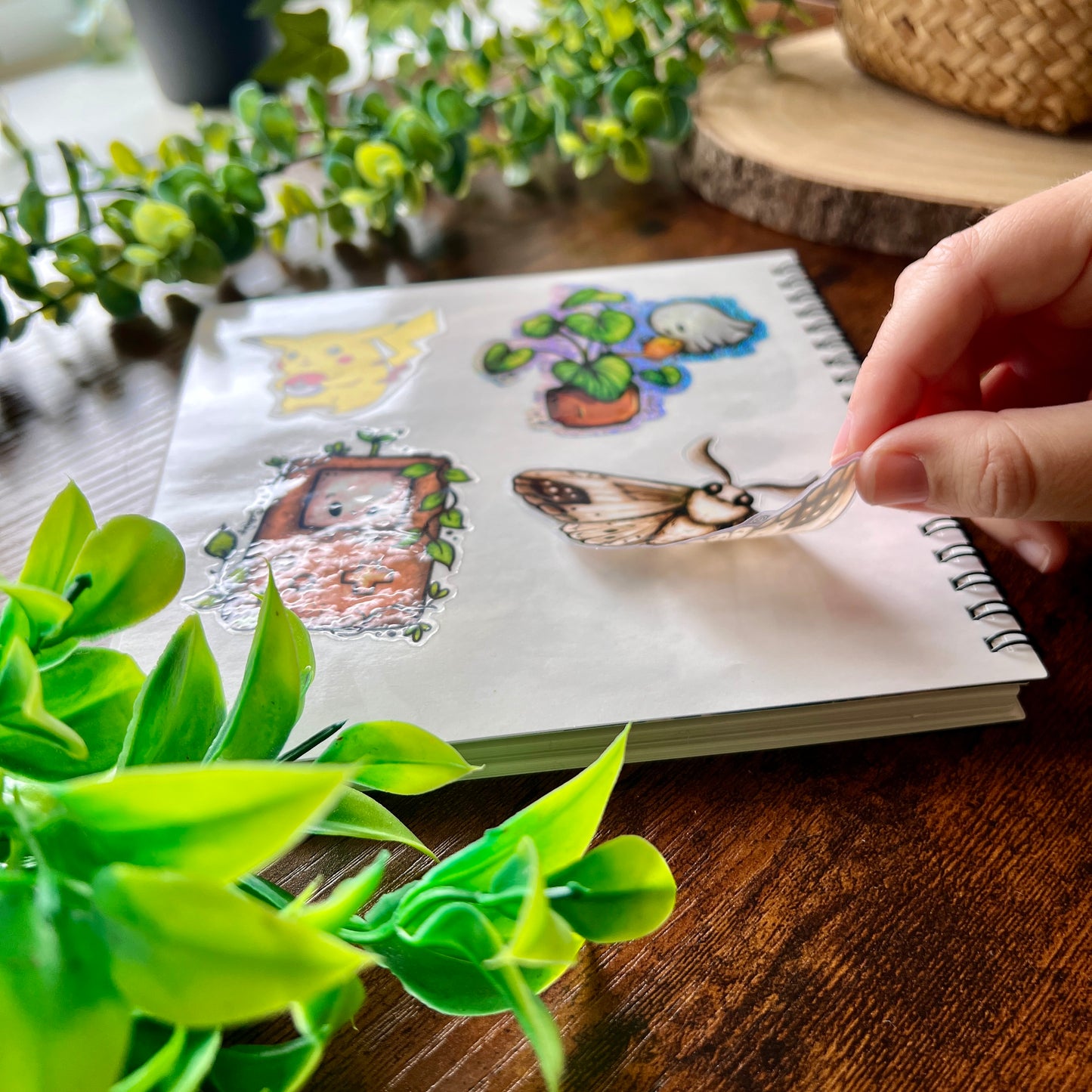 Forest Fox Sticker Album