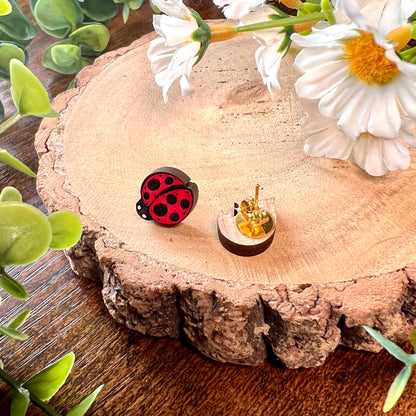 Ladybird Wooden Earrings