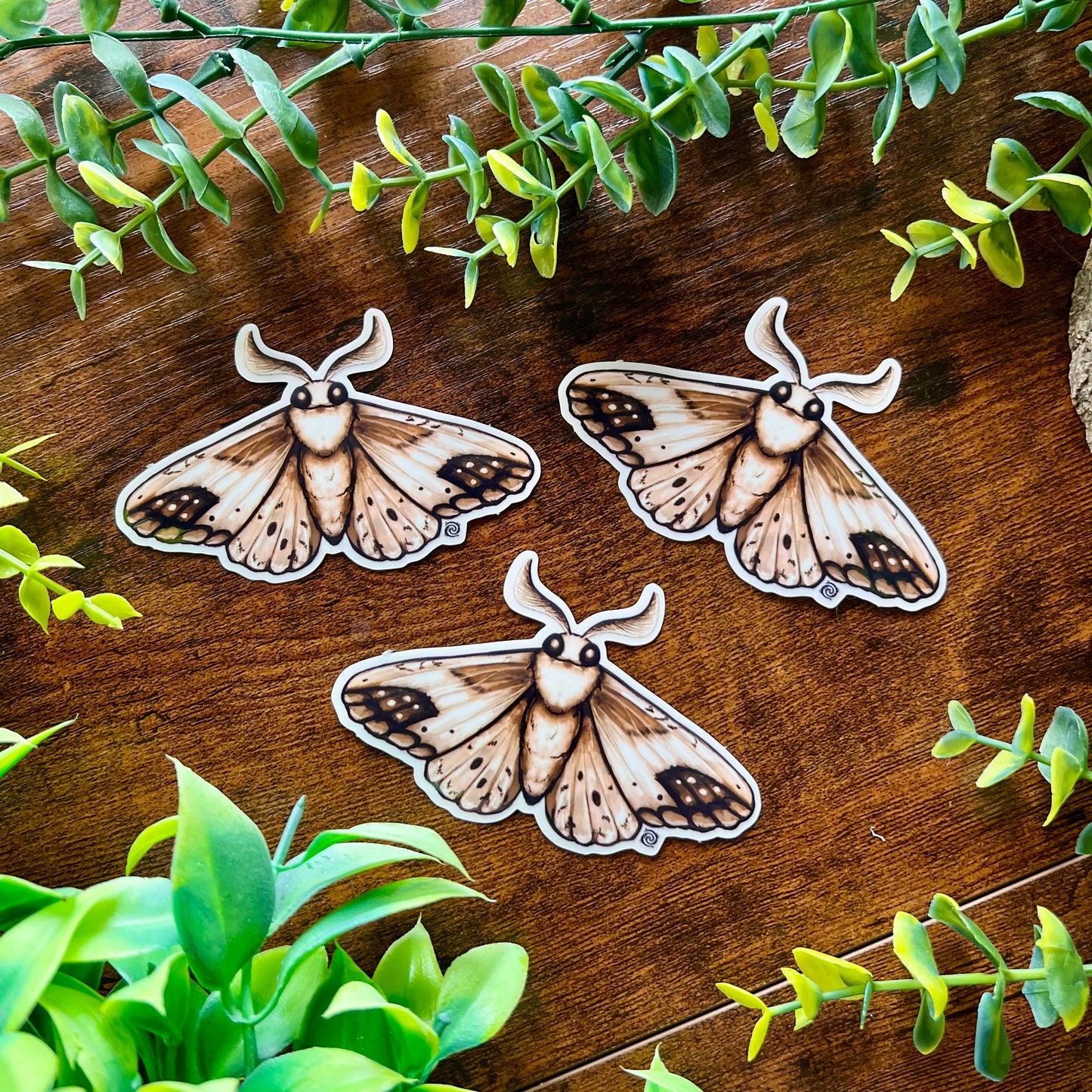 Brown Moth Clear Sticker