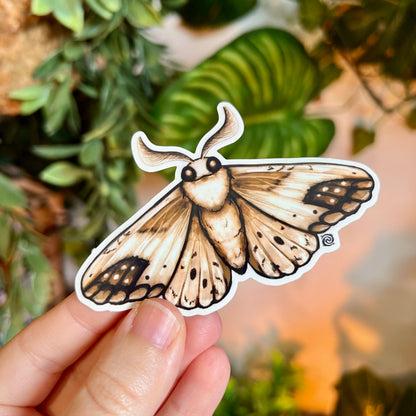 Brown Moth Clear Sticker