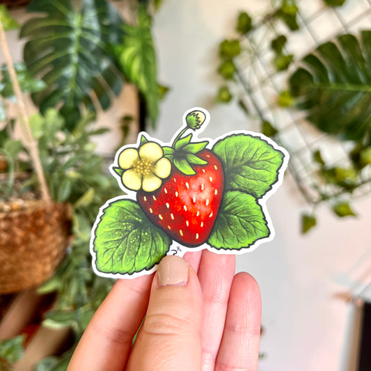 Strawberry Clear Sticker