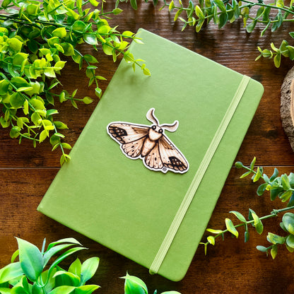 Brown Moth Clear Sticker