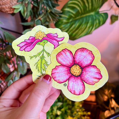 June Patreon Rewards - Cosmos Flower